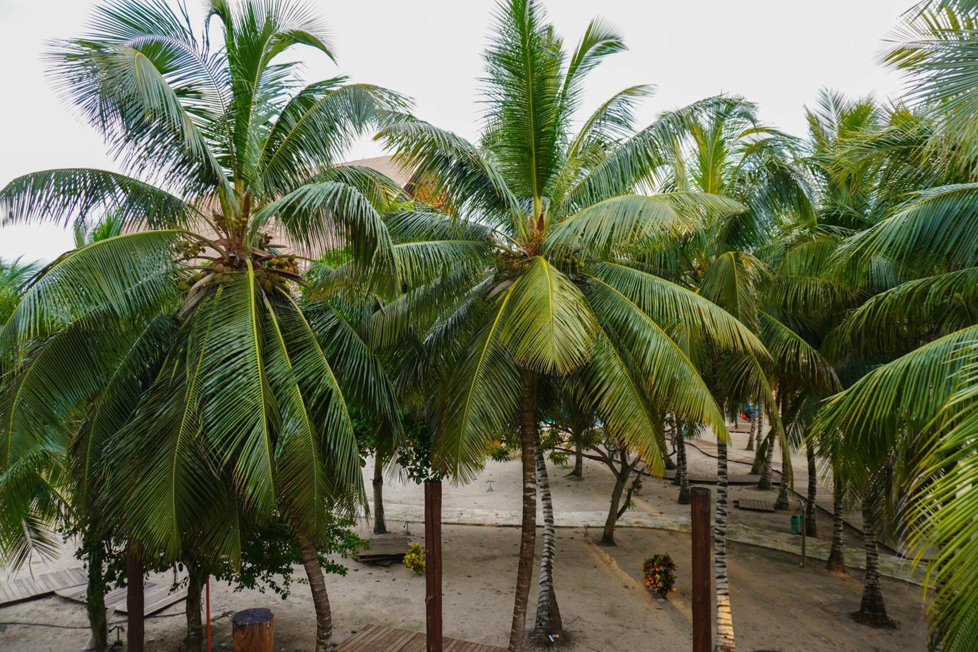 Castillete & Club Hotel *